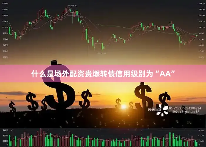 什么是场外配资贵燃转债信用级别为“AA”